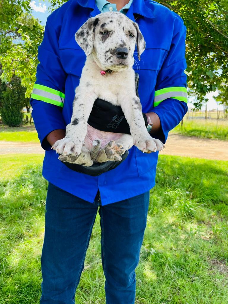 Picture of a guy holding a profile picture